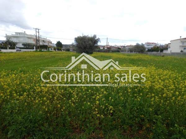 תמונת לוטראקי למכירה (1)