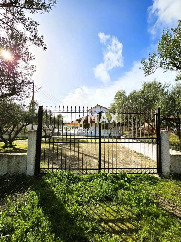 תמונת זקינתוס למכירה (1)