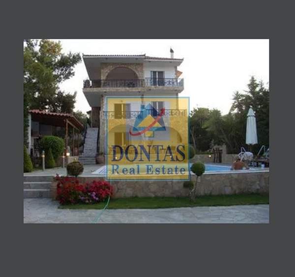 תמונת קסילוקסטרו ואברוסטינה למכירה (1)