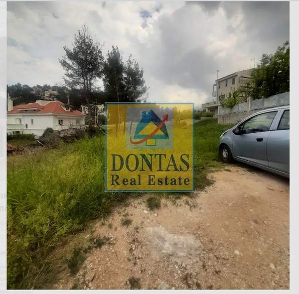 תמונת דיוניסוס למכירה (1)