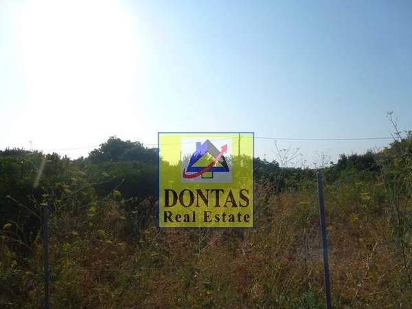 תמונת חיוס למכירה (0)