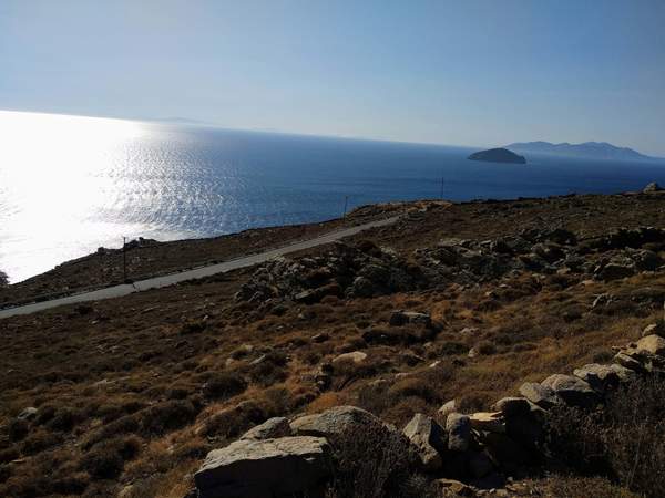 תמונת סריפוס למכירה (0)