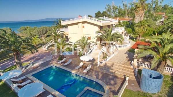 תמונת קסנדרה, כלקידיקי למכירה (0)