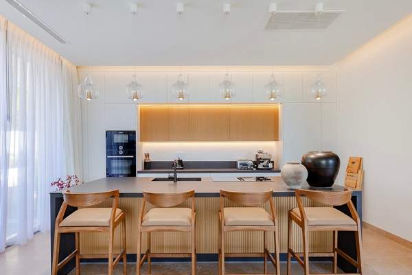 תמונת ארמיונידה, פלופונס למכירה (1)