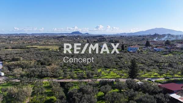 תמונת זקינתוס למכירה (0)