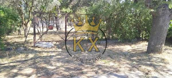 תמונת דיוניסוס, אתונה למכירה (0)