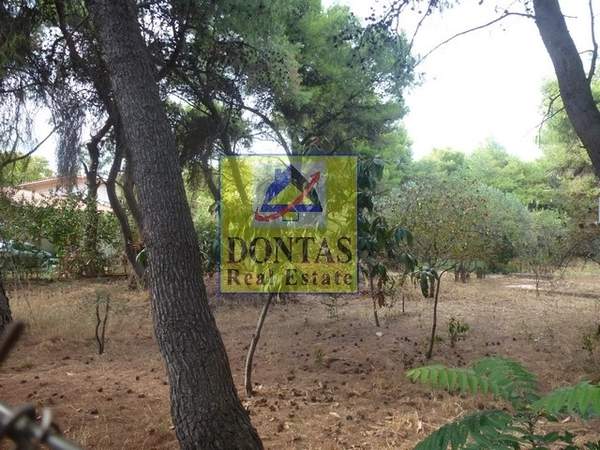 תמונת נאה קיפיסיה, קיפיסיה, אתונה למכירה (1)