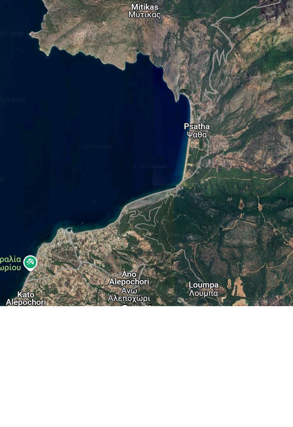 תמונת מנדרה-אידיליה, אתונה למכירה (0)