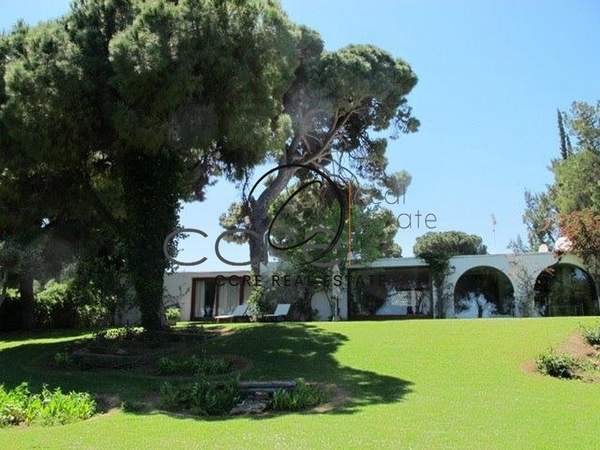 תמונת נאה מאקרי, מרתון למכירה (1)