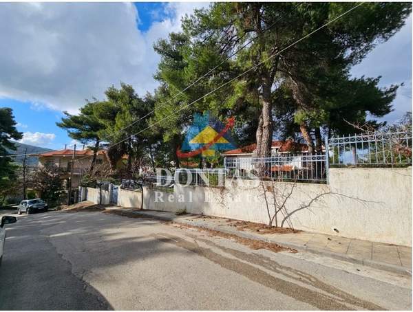 תמונת דיוניסוס למכירה (0)