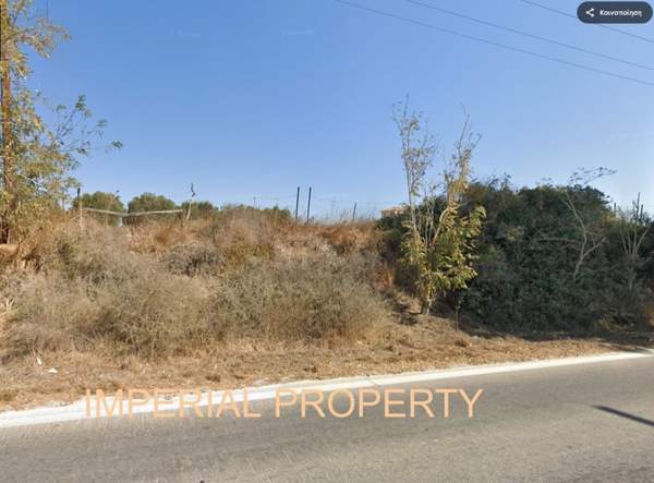 תמונת קוס למכירה