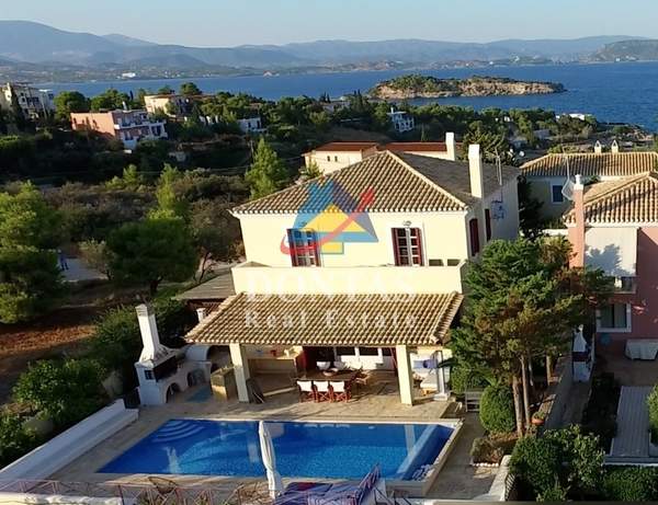 תמונת ארמיונידה למכירה