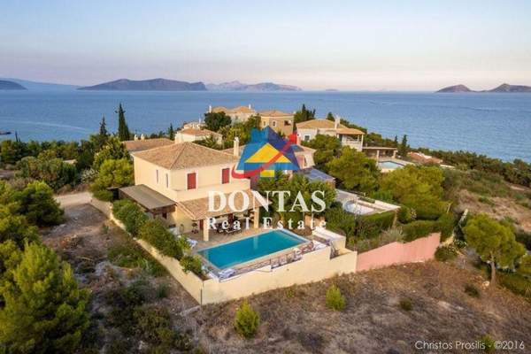 תמונת ארמיונידה למכירה