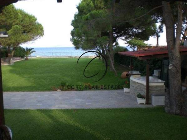 תמונת מרתון, אתונה למכירה (1)