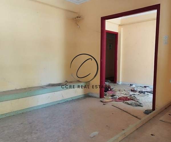 תמונת קיפיסיה למכירה (1)