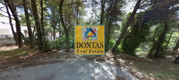 תמונת דיוניסוס למכירה (1)