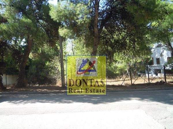 תמונת קיפיסיה, אתונה למכירה (0)