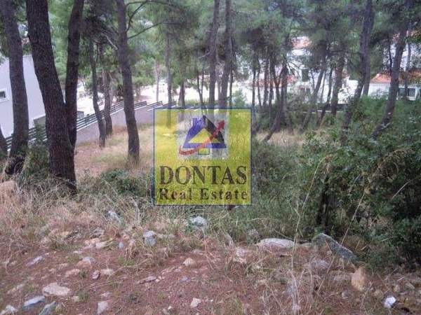 תמונת דיוניסוס, אתונה למכירה (1)