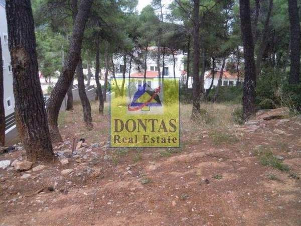 תמונת דיוניסוס, אתונה למכירה