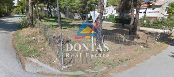 תמונת דיוניסוס למכירה (0)