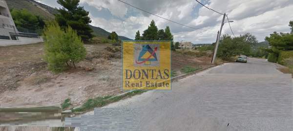 תמונת דיוניסוס למכירה (1)