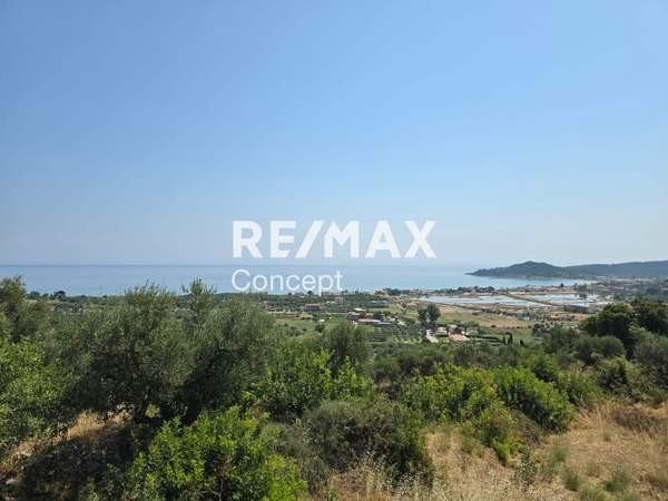 תמונת זקינתוס למכירה (0)