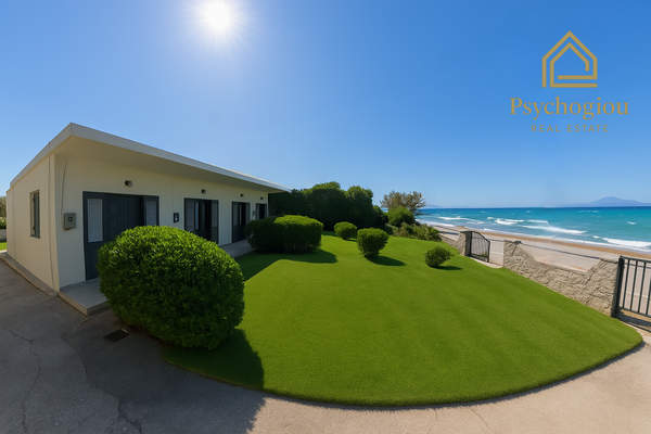 תמונת קאטו אסוס, קורינתיה למכירה (0)