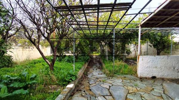 תמונת פורטו ראפטי, מרקו פולו למכירה (1)