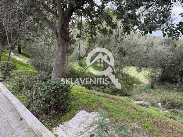 תמונת ראפינה - פיקרמי, אתונה למכירה