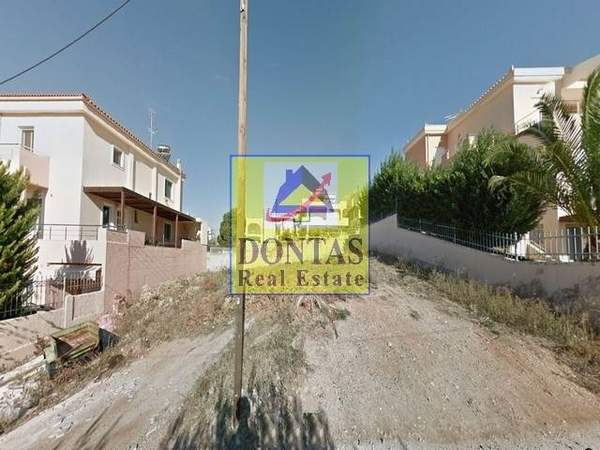 תמונת סרוניקוס למכירה (1)