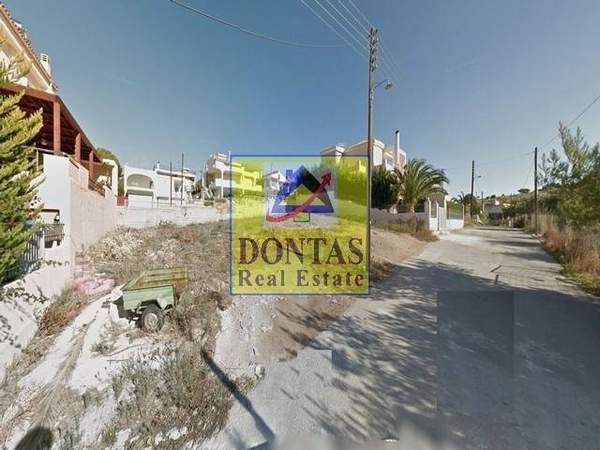 תמונת סרוניקוס למכירה (0)