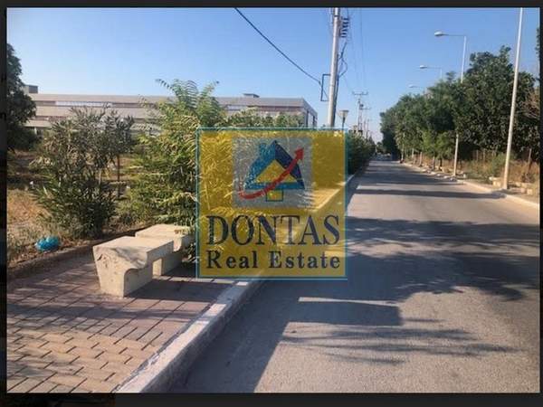 תמונת טברוס למכירה (1)