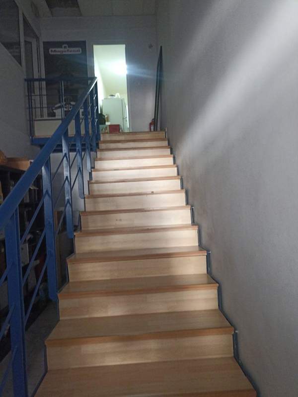 תמונת מטמורפוסי למכירה (1)