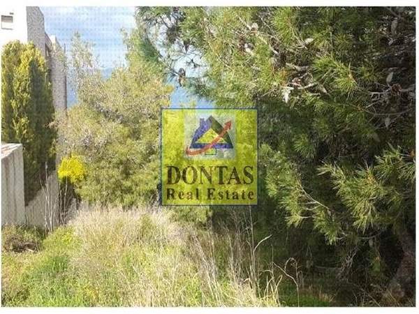 תמונת מרקו פולו למכירה (1)