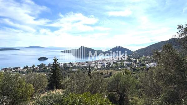 תמונת נאפפליו, פלופונס למכירה (1)