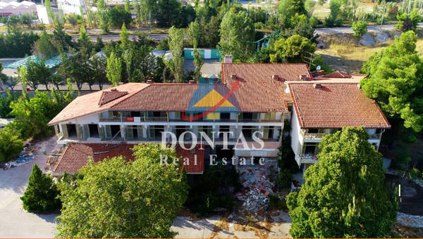 תמונת דיוניסוס למכירה (0)