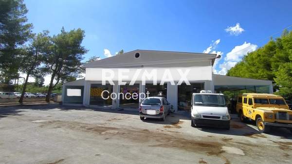 תמונת רשות מקומית זקינתוס למכירה