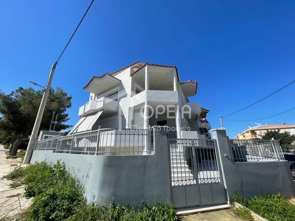 תמונת סרוניקוס, אתונה למכירה (0)