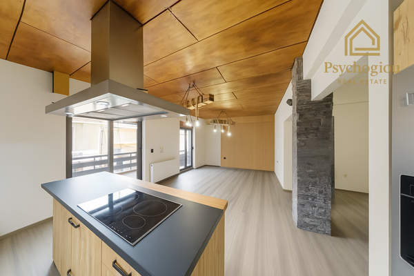 תמונת ניקיה למכירה