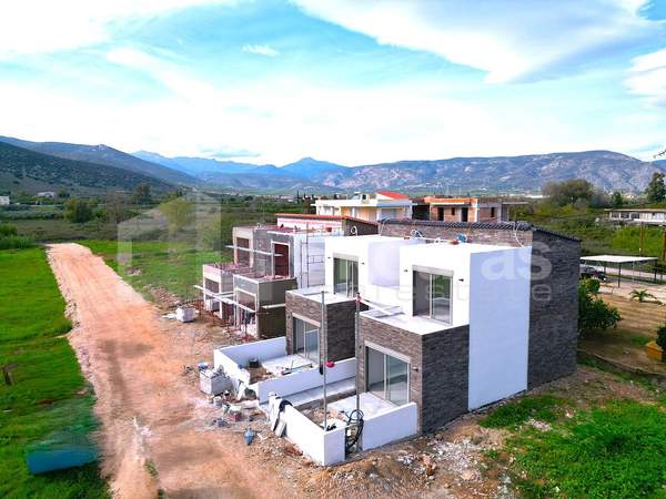 תמונת ארגוס ומיקנה למכירה