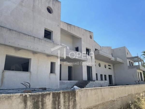 תמונת סרוניקוס למכירה (0)