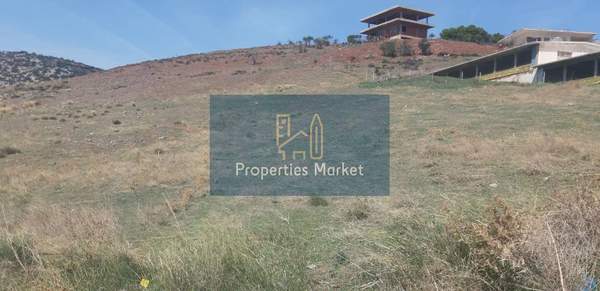 תמונת סרוניקוס, אתונה למכירה