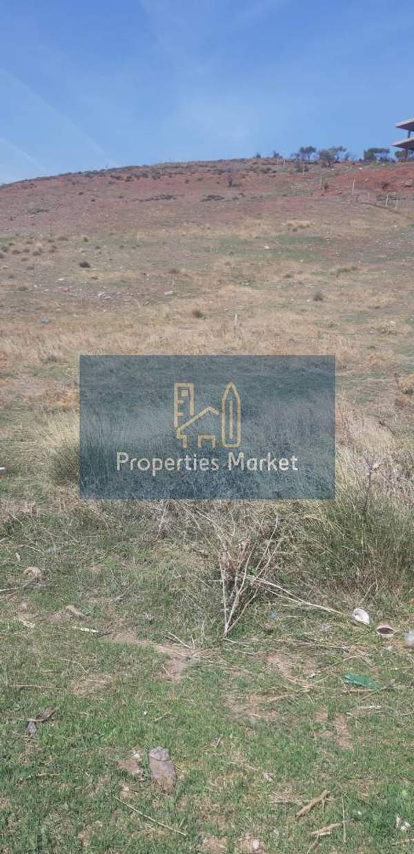 תמונת סרוניקוס, אתונה למכירה