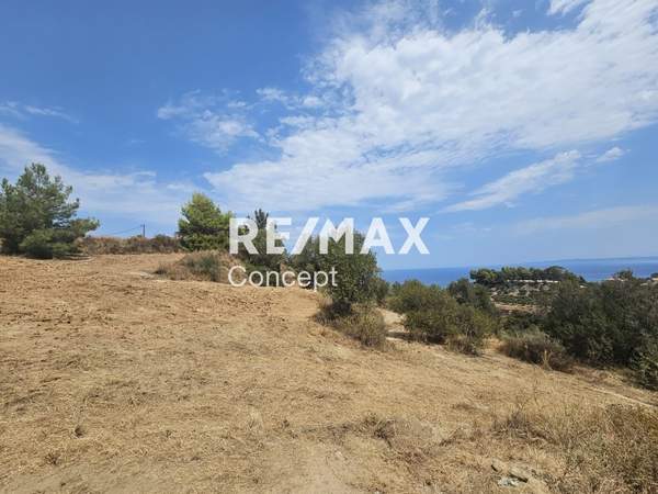 תמונת רשות מקומית זקינתוס למכירה