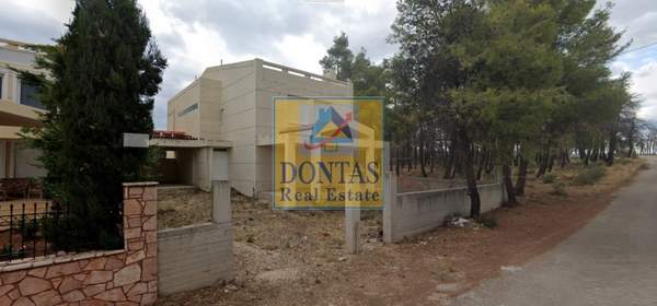 תמונת אורופוס, אתונה למכירה (1)