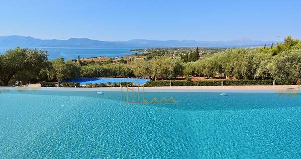 תמונת כלקיס (דרום) למכירה (0)