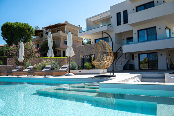 תמונת ארמיונידה, פלופונס למכירה (0)