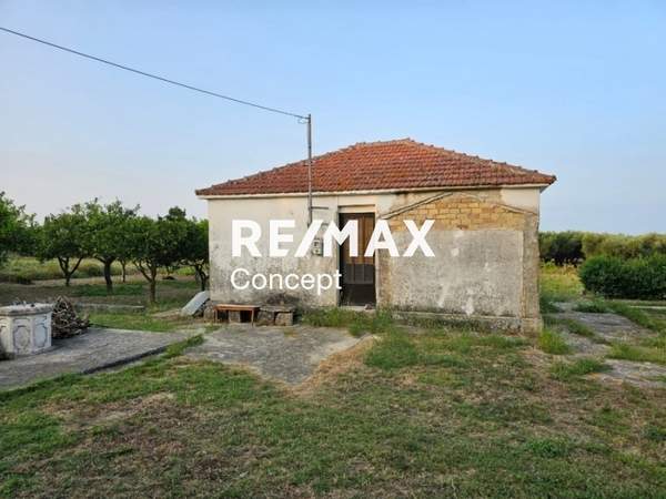 תמונת זקינתוס למכירה (0)