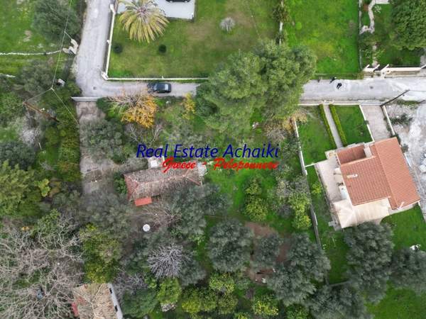 תמונת איגאליאה, פלופונס למכירה