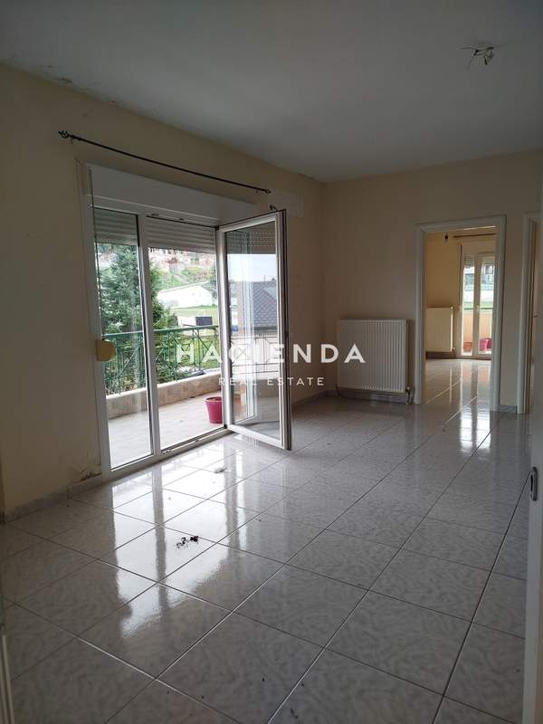 תמונת פאיליה - חורטיאטיס למכירה (0)